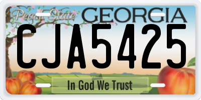 GA license plate CJA5425