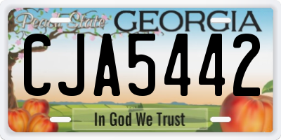 GA license plate CJA5442