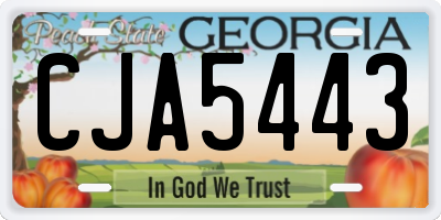 GA license plate CJA5443