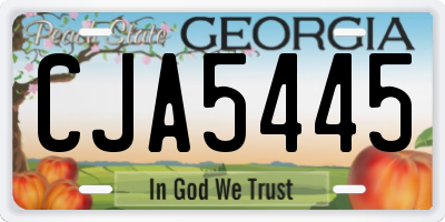 GA license plate CJA5445