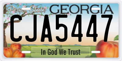 GA license plate CJA5447