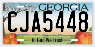 GA license plate CJA5448
