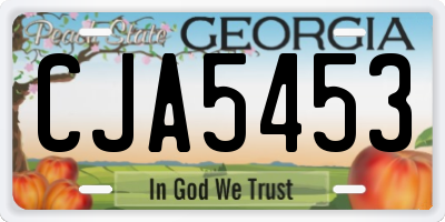 GA license plate CJA5453