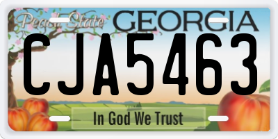 GA license plate CJA5463
