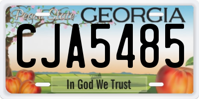 GA license plate CJA5485