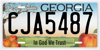 GA license plate CJA5487