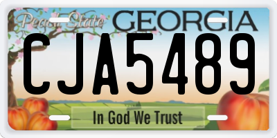 GA license plate CJA5489
