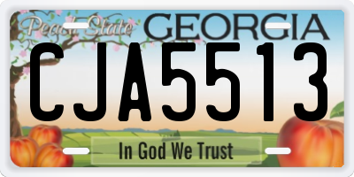 GA license plate CJA5513
