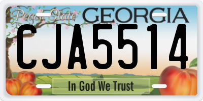 GA license plate CJA5514
