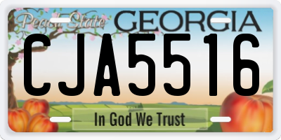 GA license plate CJA5516