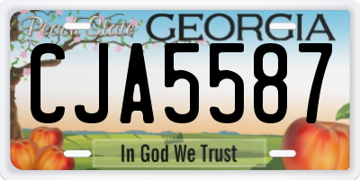 GA license plate CJA5587