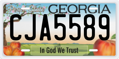 GA license plate CJA5589