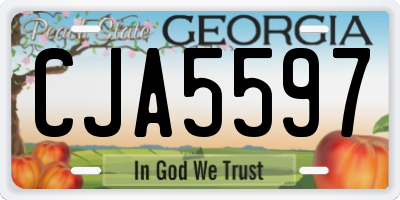 GA license plate CJA5597