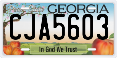 GA license plate CJA5603
