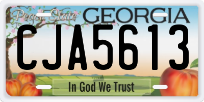 GA license plate CJA5613