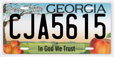 GA license plate CJA5615
