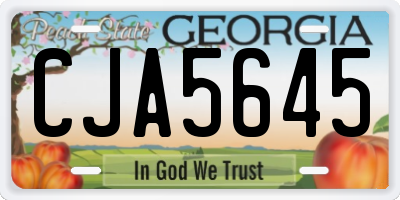 GA license plate CJA5645