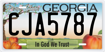 GA license plate CJA5787