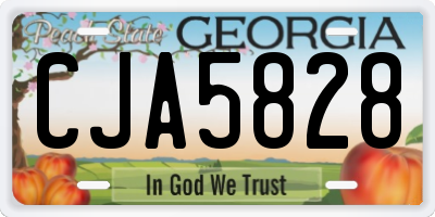 GA license plate CJA5828