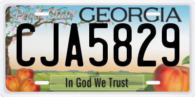 GA license plate CJA5829