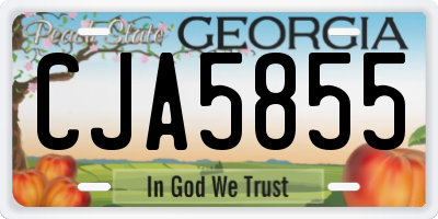 GA license plate CJA5855
