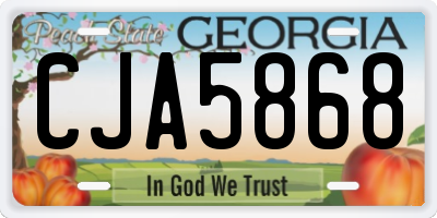 GA license plate CJA5868