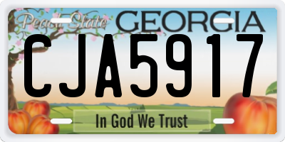 GA license plate CJA5917
