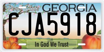 GA license plate CJA5918