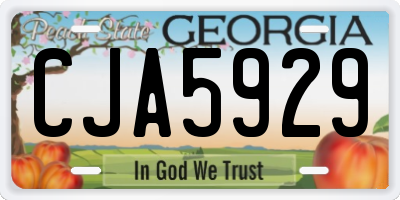 GA license plate CJA5929