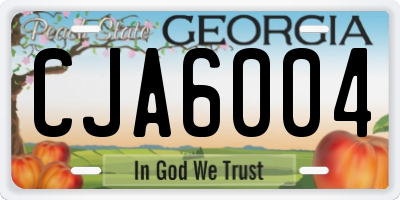GA license plate CJA6004