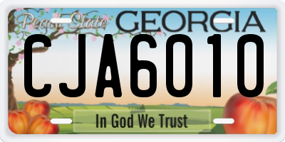 GA license plate CJA6010
