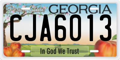 GA license plate CJA6013