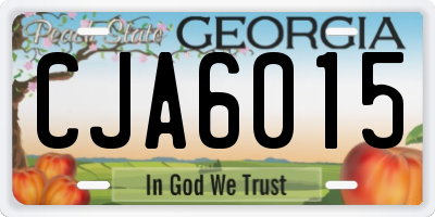 GA license plate CJA6015