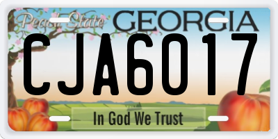 GA license plate CJA6017