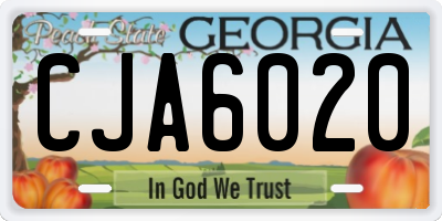 GA license plate CJA6020