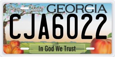 GA license plate CJA6022