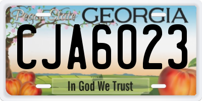GA license plate CJA6023