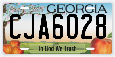 GA license plate CJA6028