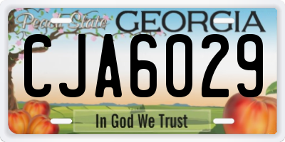 GA license plate CJA6029
