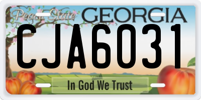 GA license plate CJA6031