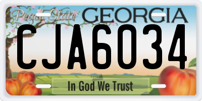 GA license plate CJA6034