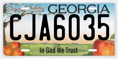 GA license plate CJA6035