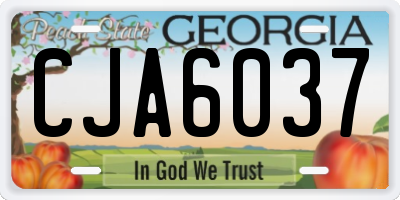 GA license plate CJA6037