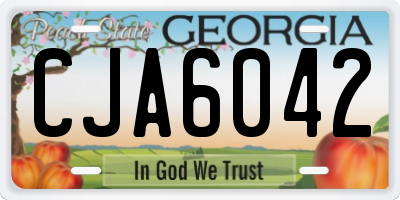 GA license plate CJA6042