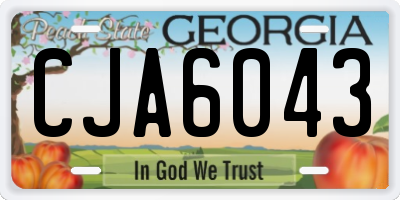 GA license plate CJA6043