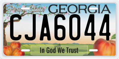 GA license plate CJA6044
