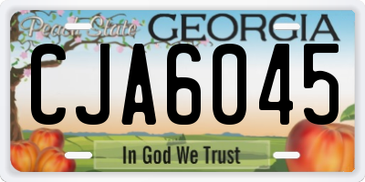 GA license plate CJA6045