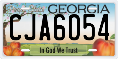 GA license plate CJA6054