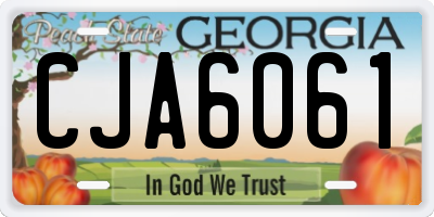 GA license plate CJA6061