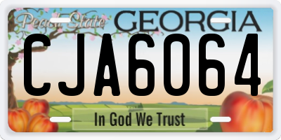 GA license plate CJA6064